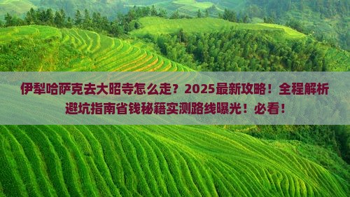 伊犁哈萨克去西藏大昭寺攻略