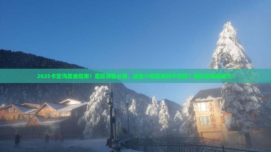 霍邱去西藏卡定沟旅游小吃