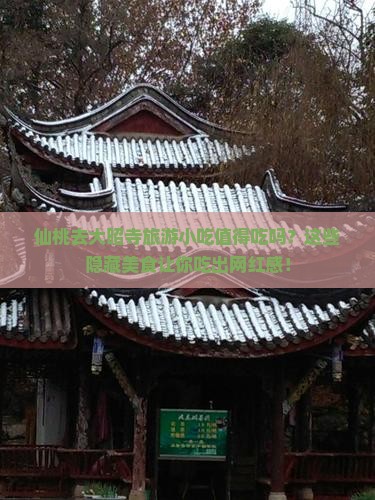 仙桃去西藏大昭寺旅游小吃 仙桃去西藏大昭寺旅游小吃