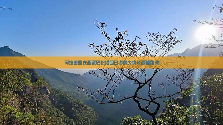 阿拉善盟去西藏巴松措四日游 阿拉善盟去西藏巴松措四日游