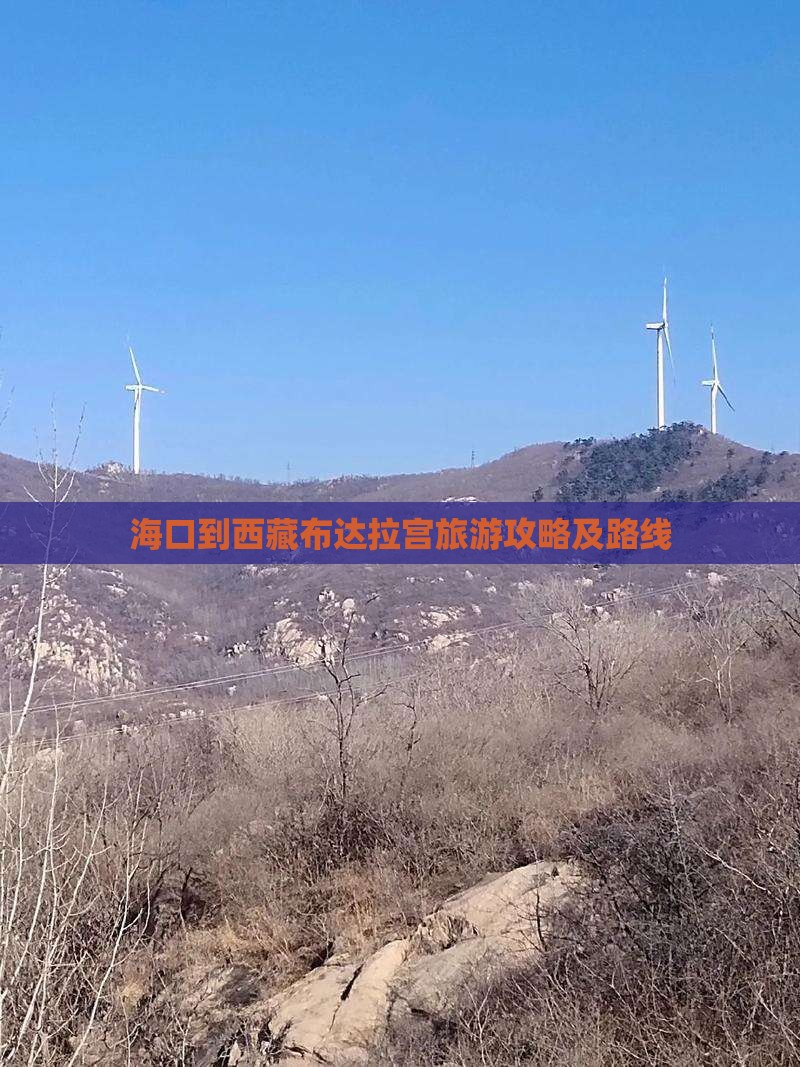 海口到西藏布达拉宫攻略