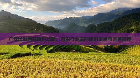 广安去西藏自由团