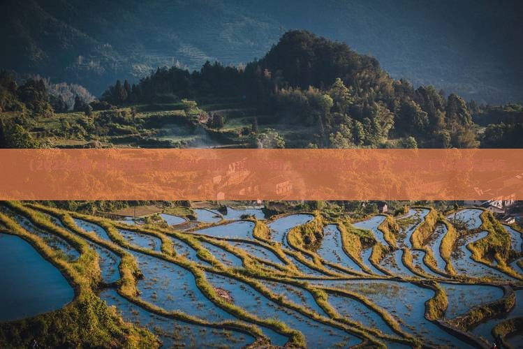 迪庆到西藏鲁朗小镇大型旅游团