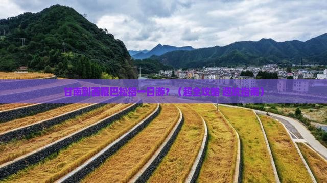 甘南到西藏巴松措一日