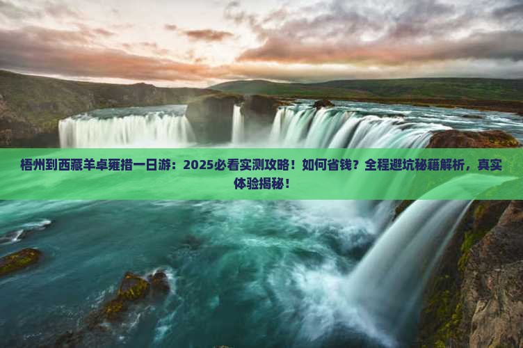 梧州到西藏羊卓雍措一日