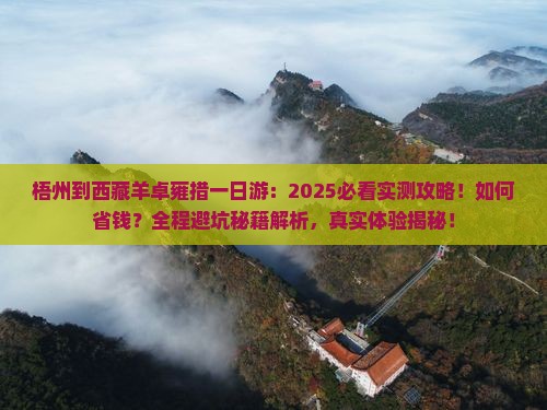 梧州到西藏羊卓雍措一日