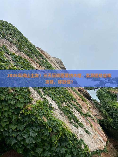 佛山到西藏纳木措三日游