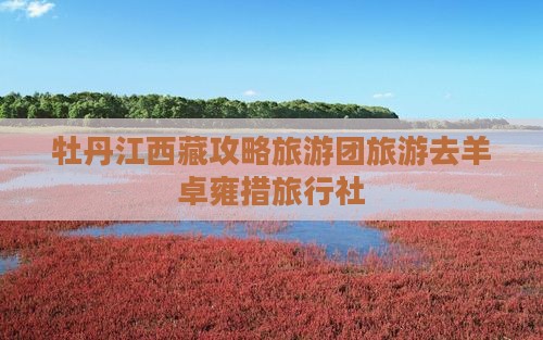 牡丹江去西藏羊卓雍措旅行社