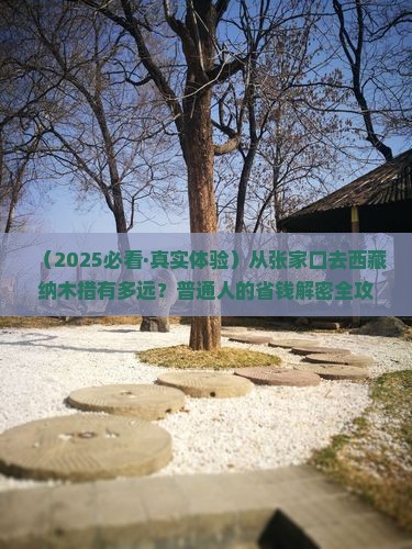 张家口到西藏纳木措旅游