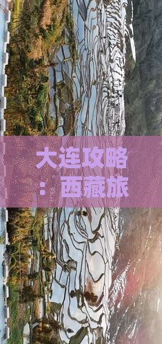大连到西藏卡定沟必去地 大连到西藏卡定沟必去地
