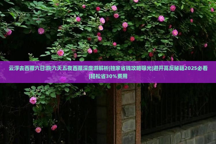 云浮去西藏六日游