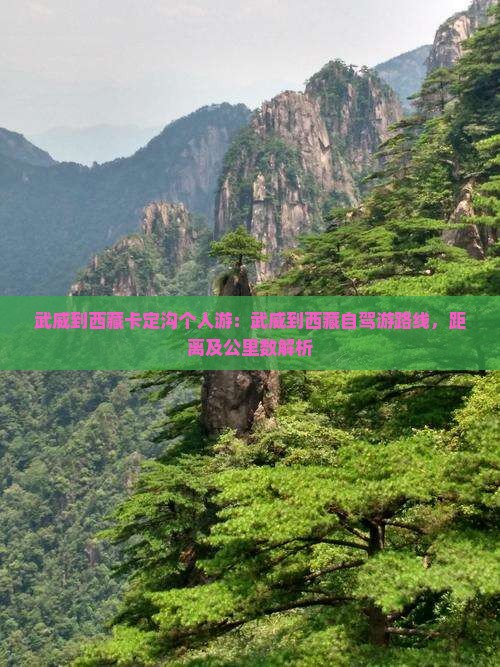 武威到西藏卡定沟个人游