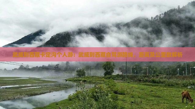 武威到西藏卡定沟个人游