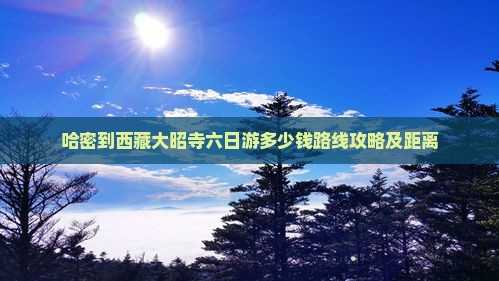 哈密到西藏大昭寺六日游