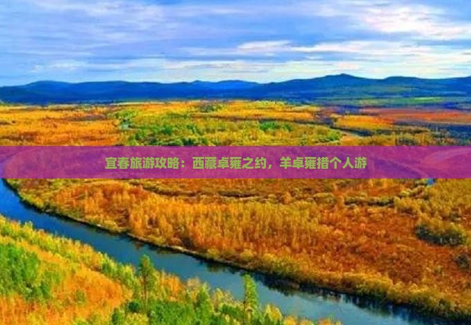 宜春去西藏羊卓雍措个人游