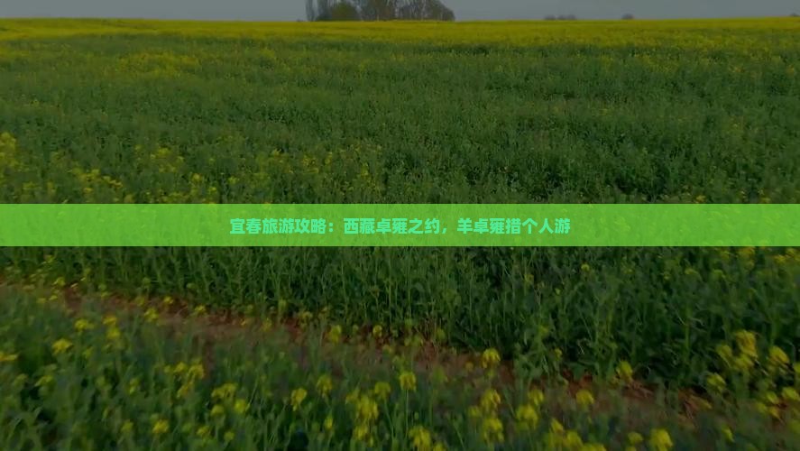 宜春去西藏羊卓雍措个人游