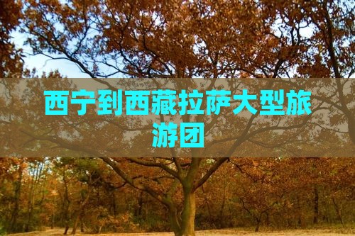 西宁去西藏色季拉山大型旅游团 西宁去西藏色季拉山大型旅游团