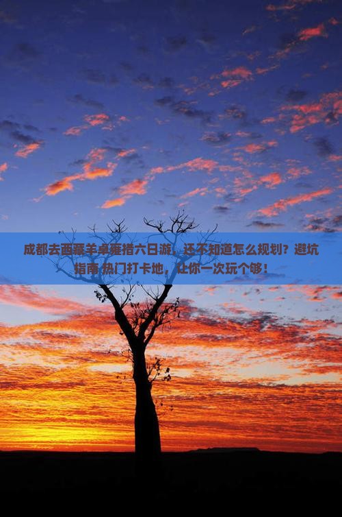 成都去西藏羊卓雍措六日游