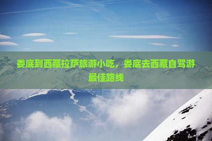 娄底到西藏拉萨旅游小吃