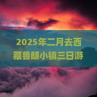 二月到西藏鲁朗小镇三日游 二月到西藏鲁朗小镇三日游