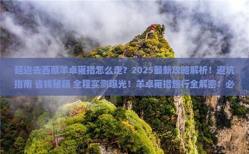 延边去西藏羊卓雍措攻略