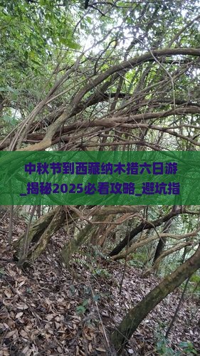 中秋节到西藏纳木措六日游