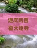 迪庆到西藏大昭寺大型旅游团