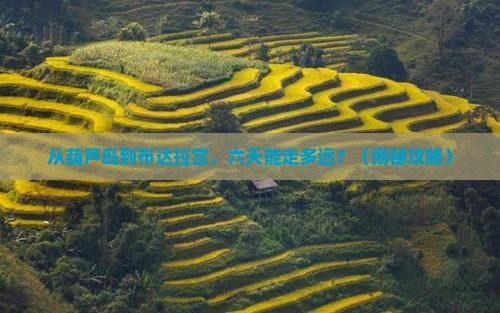 葫芦岛到西藏布达拉宫六日游