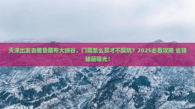 天津到西藏雅鲁藏布大峡谷门票