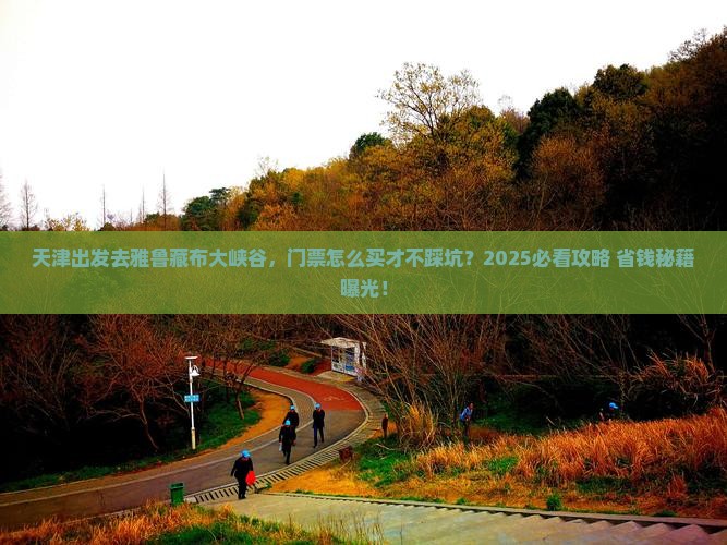 天津到西藏雅鲁藏布大峡谷门票