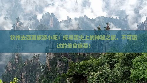 钦州去西藏旅游小吃