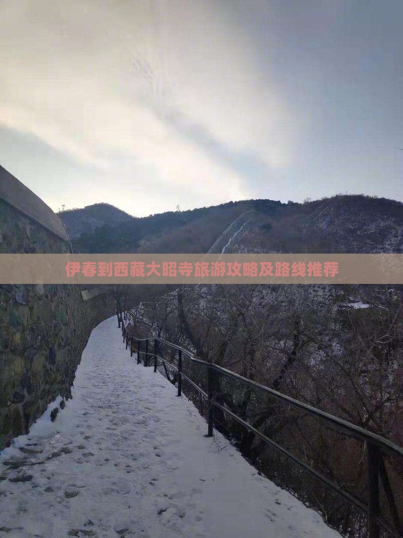 伊春去西藏大昭寺旅游