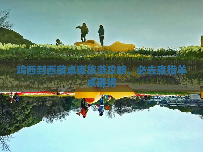 鸡西到西藏羊卓雍措必去地
