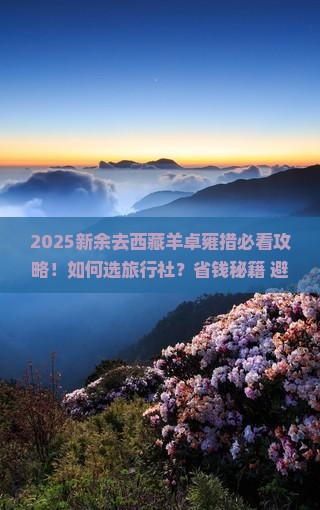 新余去西藏羊卓雍措旅行社