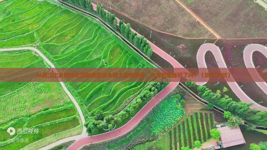 神农架到西藏纳木措大型旅游团
