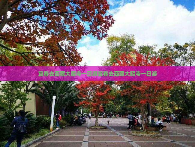 宜春去西藏大昭寺一日