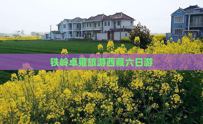 铁岭去西藏羊卓雍措六日游