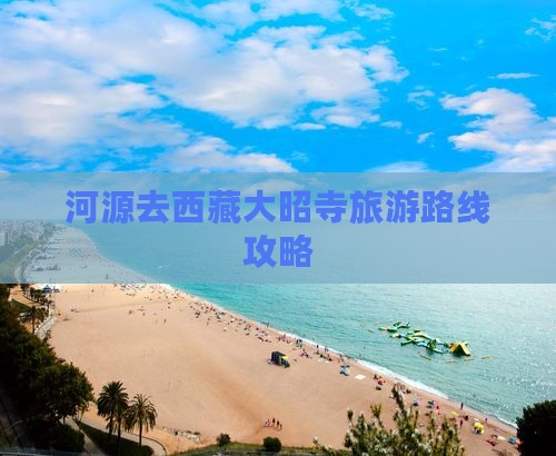 河源去西藏大昭寺一日