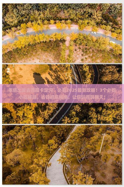 孝感去西藏卡定沟旅游小吃