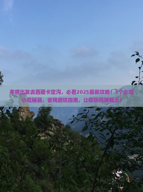 孝感去西藏卡定沟旅游小吃