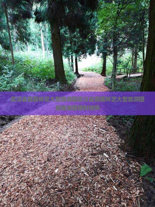 武汉去西藏林芝大型旅游团