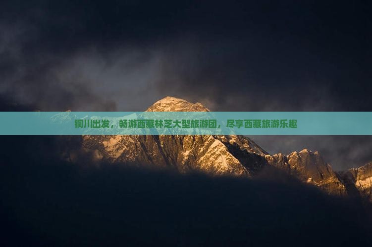 铜川去西藏林芝大型旅游团