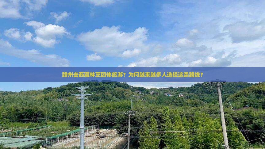 赣州去西藏林芝团体旅游