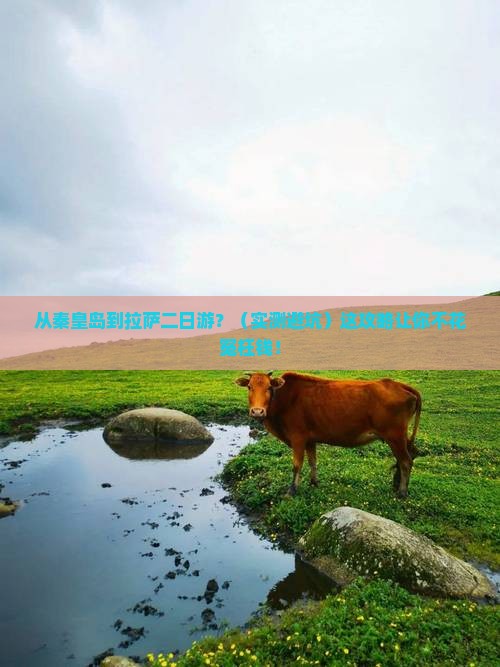 秦皇岛去西藏拉萨二日游