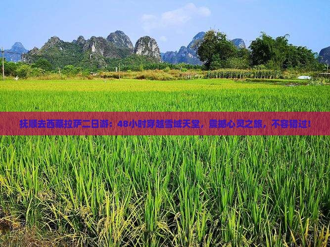 抚顺去西藏拉萨二日游