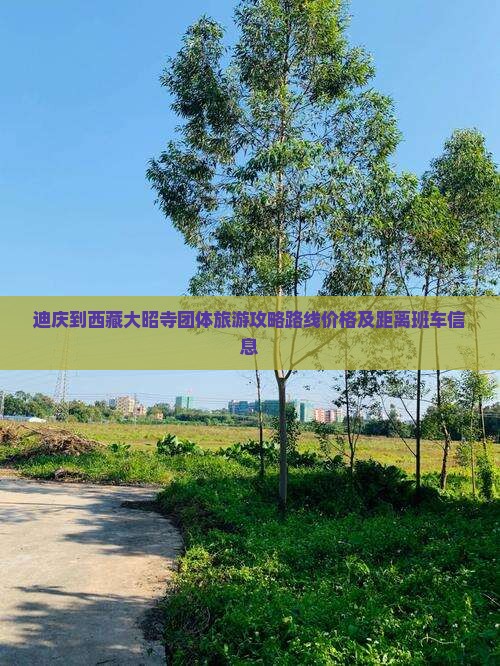 迪庆到西藏大昭寺团体旅游