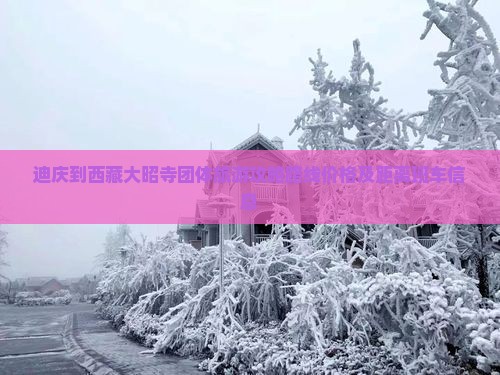迪庆到西藏大昭寺团体旅游