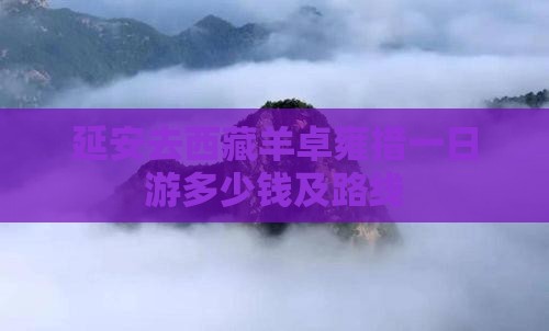 延安去西藏羊卓雍措一日