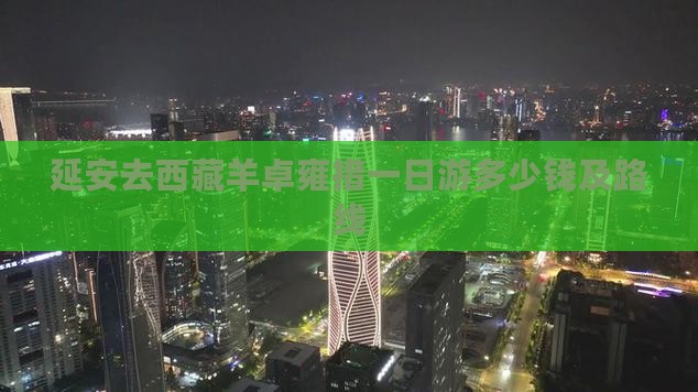 延安去西藏羊卓雍措一日