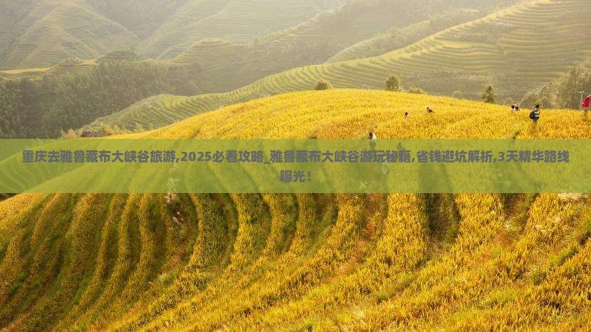 重庆去西藏雅鲁藏布大峡谷旅游